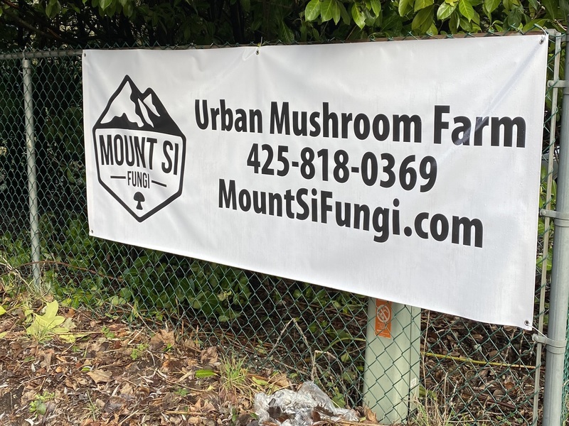 Mt Si Fungi